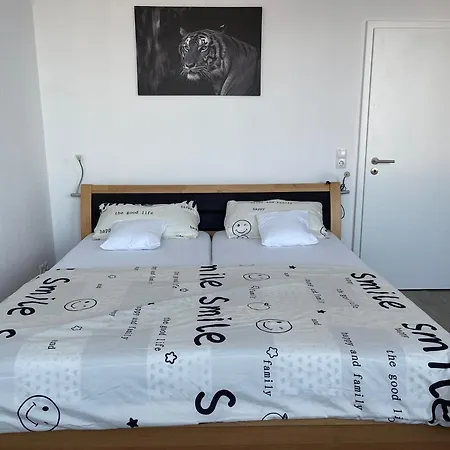 Friendly-room 200 M To 5 Museums Kassel